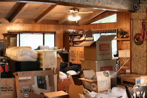 Dumpster Rental Vs. Junk Removal: What’s Right For You?